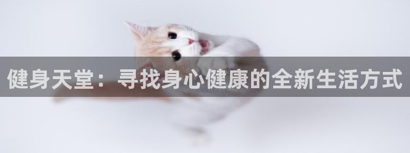 凯捷体育官方网站