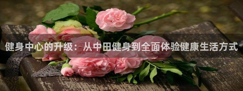 凯捷体育代理